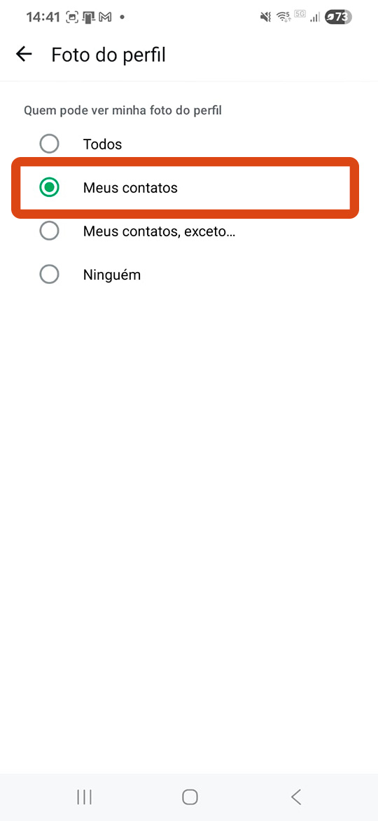 TOPICO 1_PRINT 5_foto - meus contatos