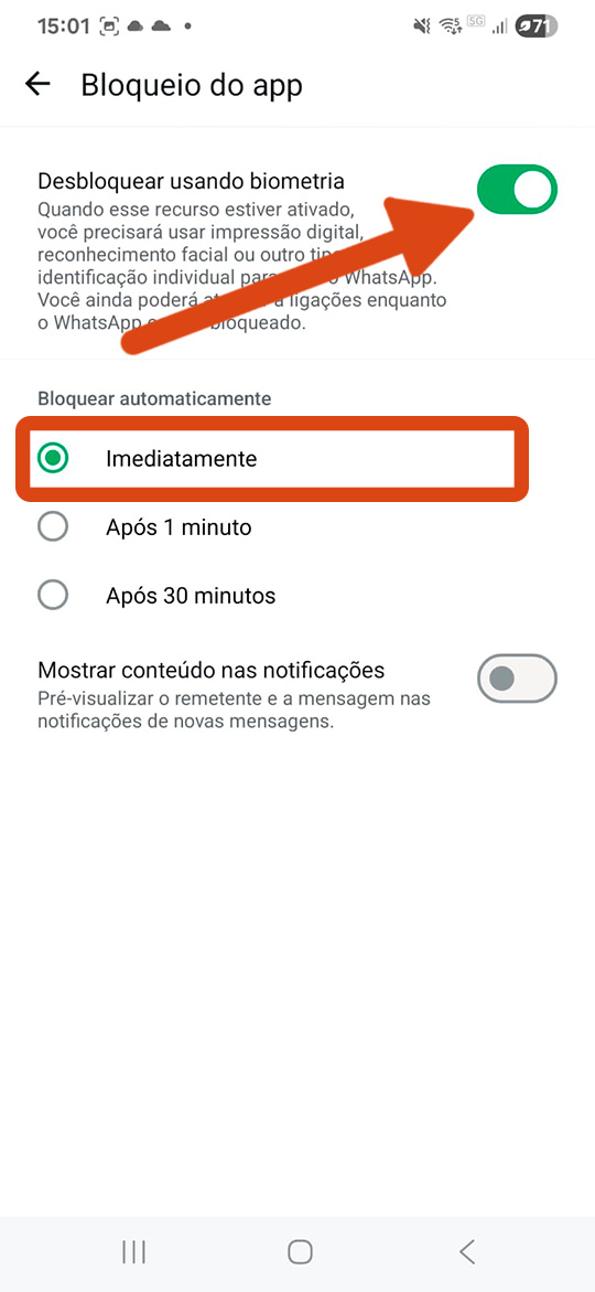 TOPICO 3_PRINT 6_ bloqueio do app - ativar biometria do app